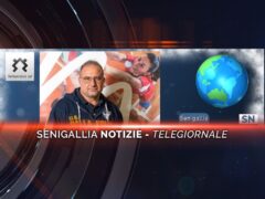 senigallia notizie telegiornale