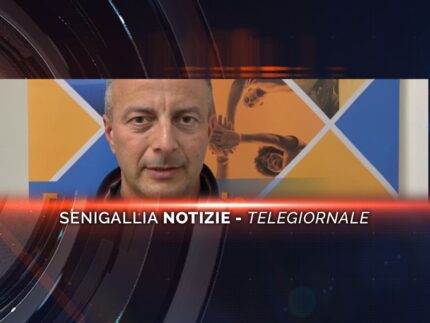 senigallia notizie telegiornale