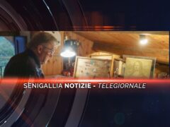 senigallia notizie telegiornale