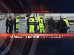 senigallia notizie telegiornale