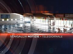 senigallia notizie telegiornale