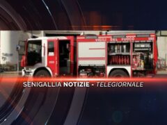 senigallia notizie telegiornale