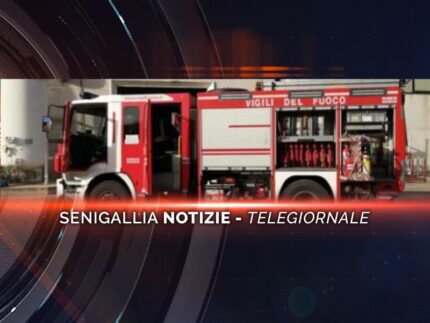 senigallia notizie telegiornale