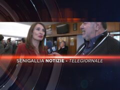 senigallia notizie telegiornale