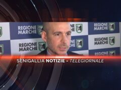 senigallia notizie telegiornale