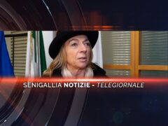 senigallia notizie telegiornale