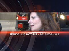 senigallia notizie telegiornale