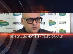 senigallia notizie telegiornale