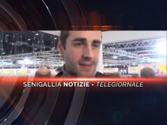 senigallia notizie- elegiornale