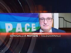 senigallia notizie telegiornale