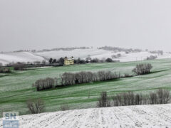 Spruzzate di bianco - Foto Floriana Giacchini