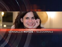 senigallia notizie telegiornale