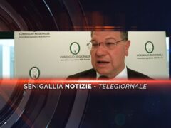 senigallia notizie telegiornale