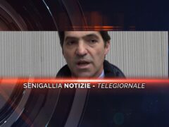 senigallia notizie telegiornale