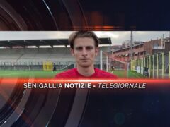 senigallia notizie telegiornale