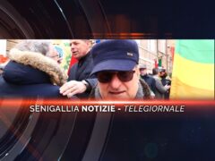 senigallia notizie telegiornale