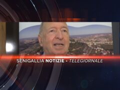 senigallia notizie telegiornale