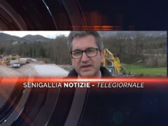 senigallia notizie telegiornale