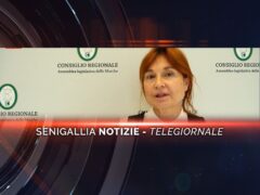 senigallia notizie telegiornale