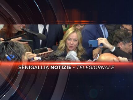 senigallia notizie telegiornale