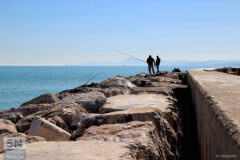 Passatempi di mare - Foto Mauro Gasparini