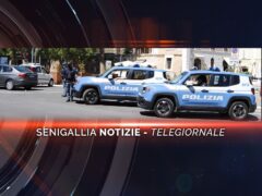 senigallia notizie telegiornale (1)