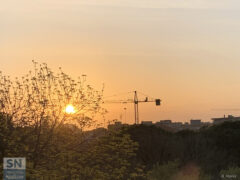 Il Sole sorge accanto a una giraffa - Foto Rossano Morici