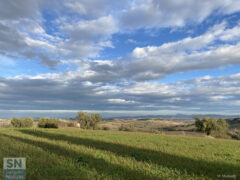 Cielo e campagna - Foto Massimo Mariselli