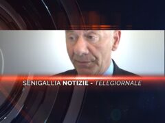 senigallia notizie telegiornale