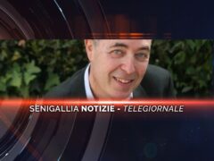 senigallia notizie telegiornale