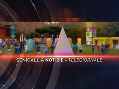 senigallia notizie telegiornale