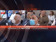 senigallia notizie telegiornale