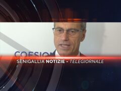 senigallia notizie telegiornale