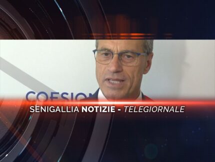 senigallia notizie telegiornale