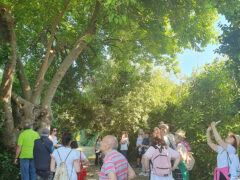 Passeggiata Gruppo Società Ambiente al bosco urbano della Cesanella