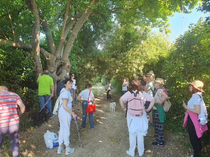 Passeggiata Gruppo Società Ambiente al bosco urbano della Cesanella