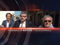 senigallia notizie telegiornale