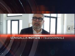 senigallia notizie telegiornale