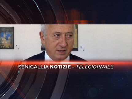 senigallia notizie telegiornale