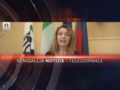 Videogiornale