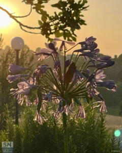 Tramonto - Foto Roberto Sbriscia