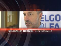 senigallia notizie telegiornale