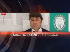 senigallia notizie telegiornale