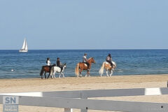 Chi a vela e chi a cavallo! - Foto Carlo Alberto Bellagamba