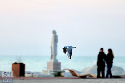 Come venne veloce - Foto Roberto Olivetti