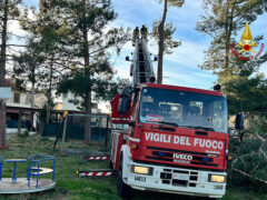 Abbattimento albero pericolante a Roncitelli