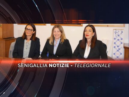 senigallia notizie telegiornale