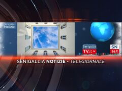 senigallia notizie telegiornale