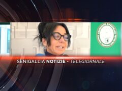 senigallia notizie telegiornale