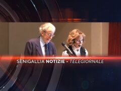 senigallia notizie telegiornale